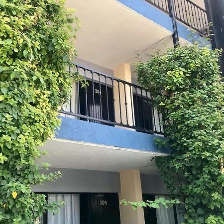 ספופן Hotel Nuevo Vallarta מראה חיצוני תמונה